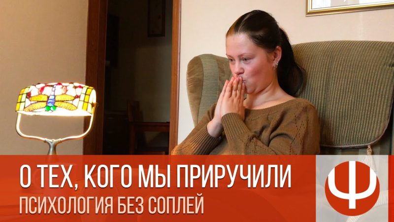 Видео — Лекции, стримы, встречи