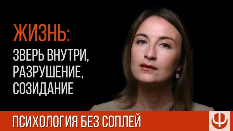 Видео — Лекции, стримы, встречи
