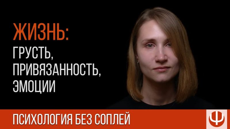 Видео — Лекции, стримы, встречи